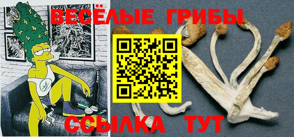 Чайковский  Псилоцибиновые грибы прущие грибы  Вход с VPN 
